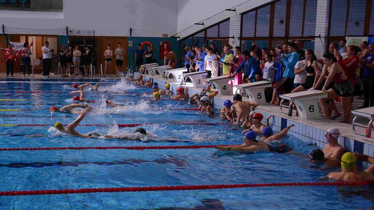 Swimmers during the 6-Hour Sri Chinmoy Swim Challenge in Gödöllő, Hungary